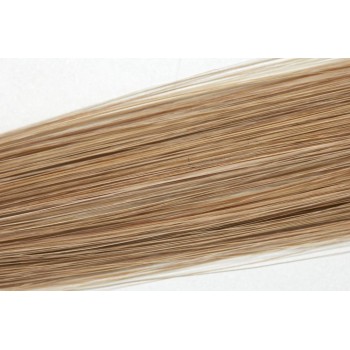 Popelavá blond