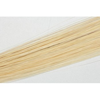 Velmi světlá popelavá blond