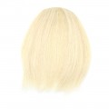 Clip in ofina - Velmi Světlá Popelavá Blond barva